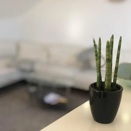 Caleva's Apartment